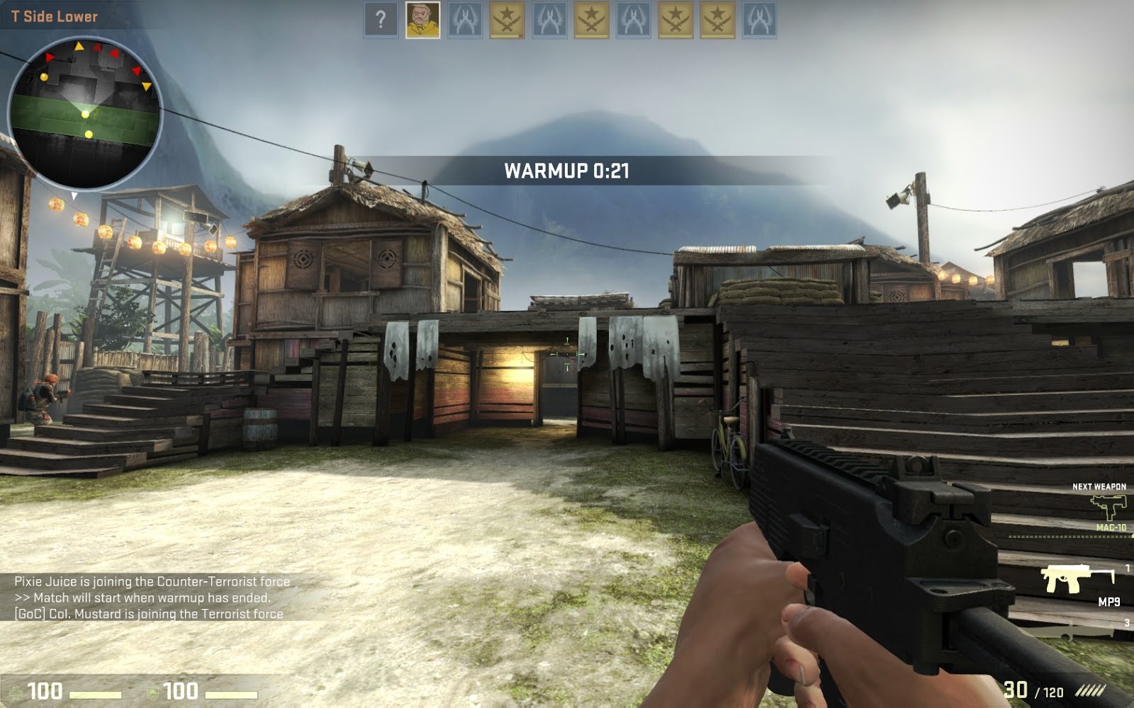 CS:GO